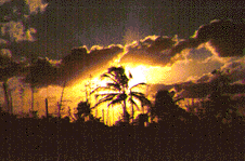 MEXSUNSET